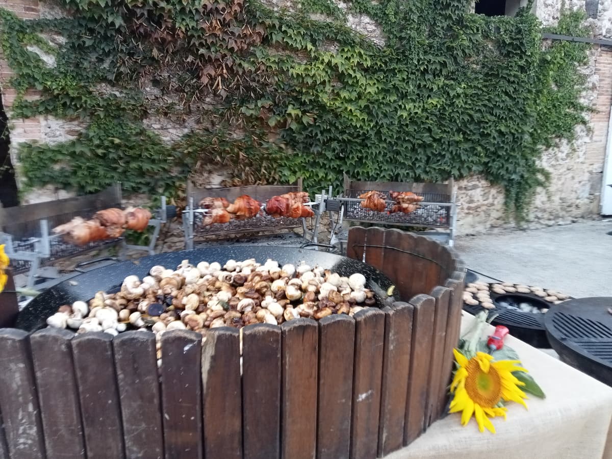Ambiance barbecue champetre
